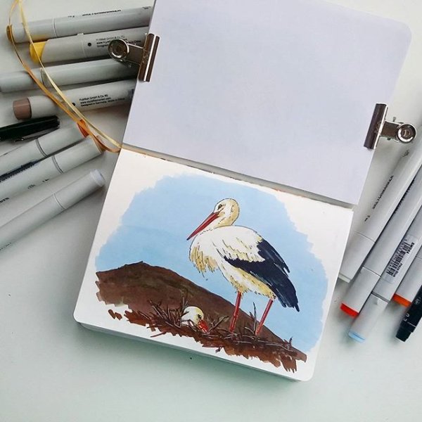 Рисунки маркерами птички