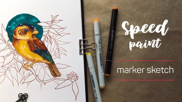 Рисунки маркерами птицы