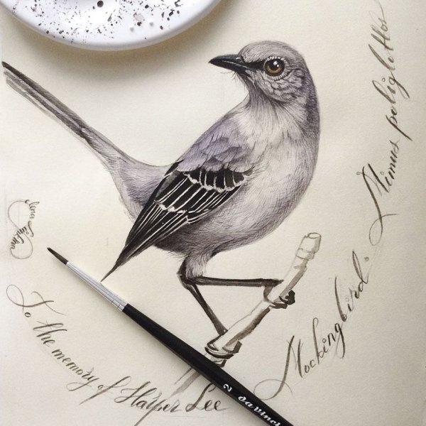 Скетчинг птицы