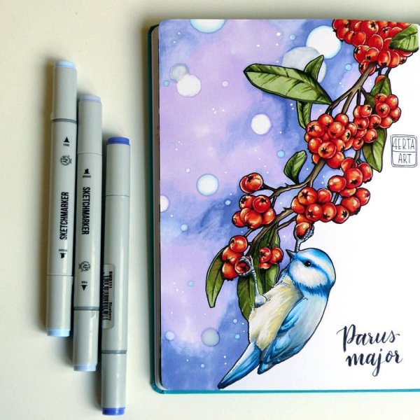 Птицы в стиле Зентангл