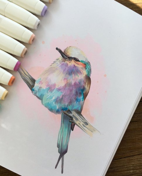 Акварели Салли Уолш