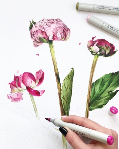 Ботанический скетчинг маркерами