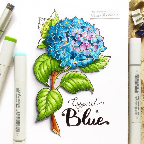 Пионы скетчинг маркерами