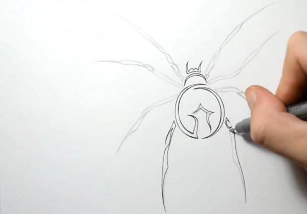 Паук для рисования карандашом для начинающих