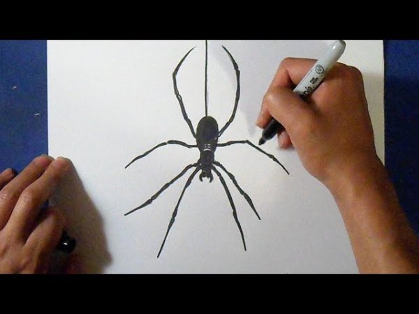 Паук 3д ручкой для начинающих