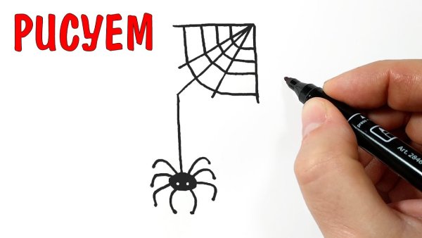 Рисовать паука за 4 минуты легко и просто