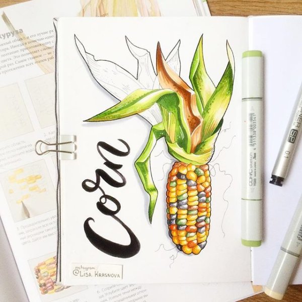 Лиза Краснова фрукты маркерами