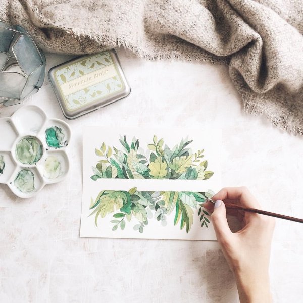 Суккуленты акварель