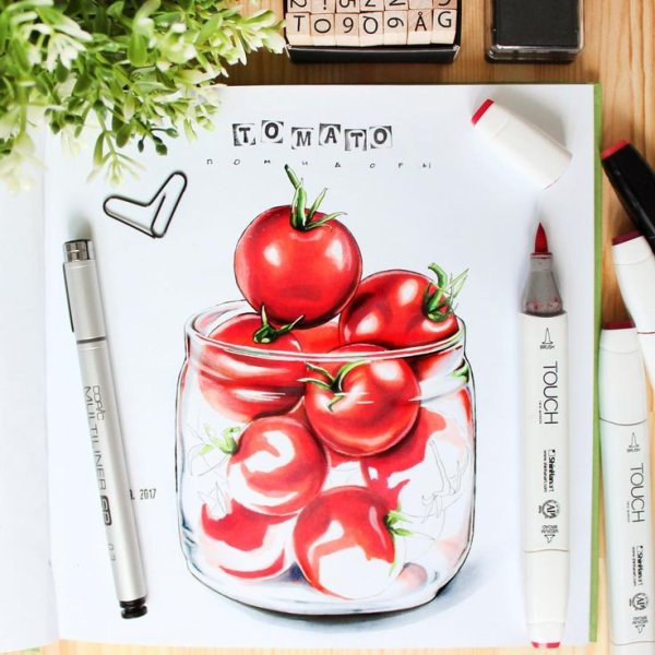 Помидоры фломастерами для скетчинга