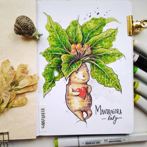 Кетчбук «Гарри Поттер. Хогвартс»