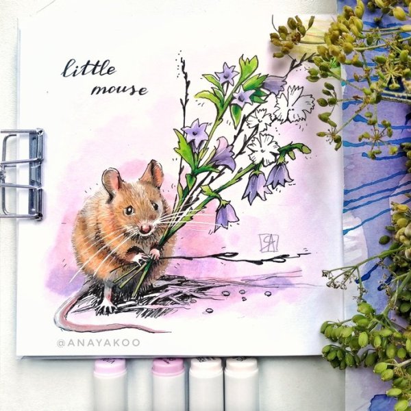 Скетчбук мышонок