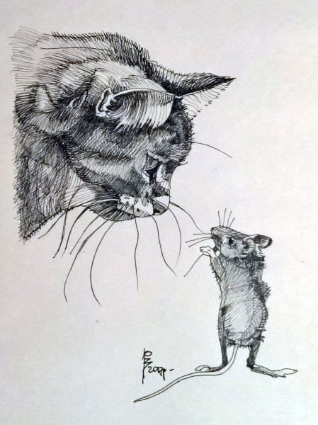 Крыса рисунок карандашом