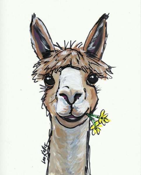 Альпака акварелью