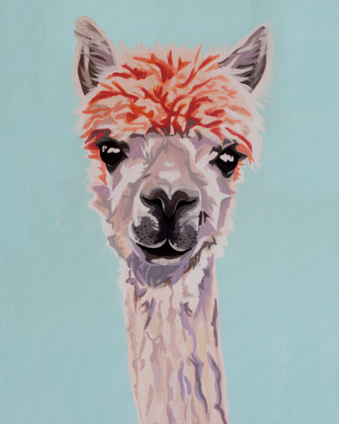 Лама рисунок маркерами