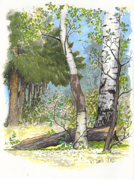 Лес маркерами