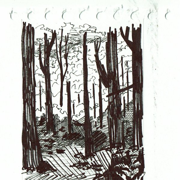 Дерево маркерами