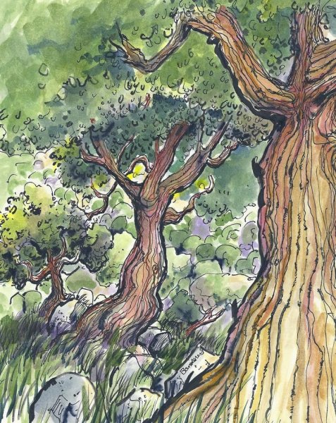 Скетчинг деревья