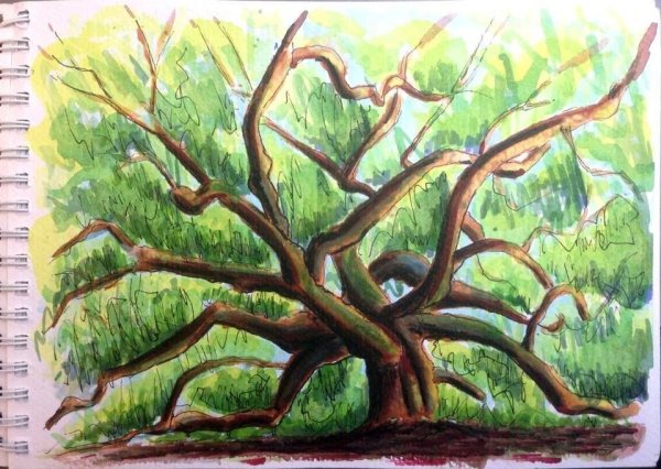 Лес черной ручкой