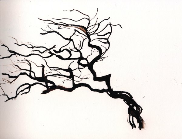 Деревья чернилами