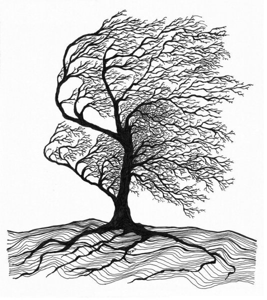 Деревья в графике