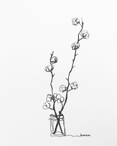 Наброски одной линией растения