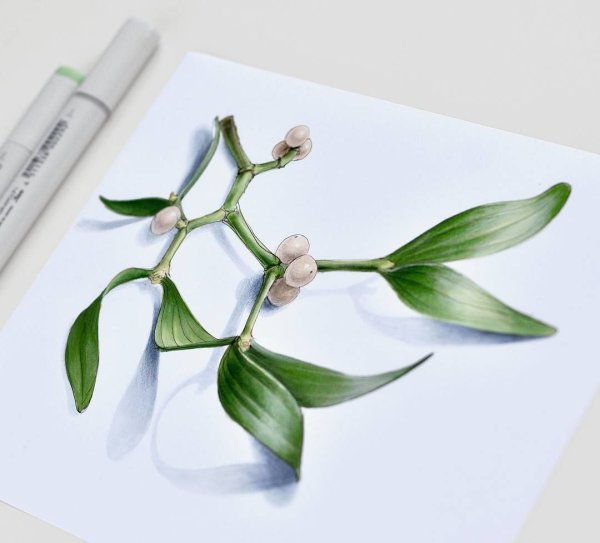 Ботанический скетчинг маркерами