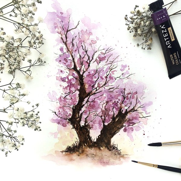 Сакура для срисовки