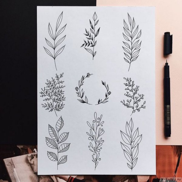Эскиз тату веточка с листьями