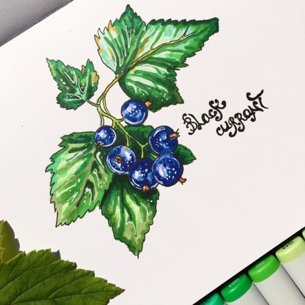 Ягодка рисунок маркером