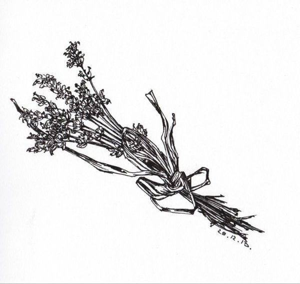 Ветка эскиз