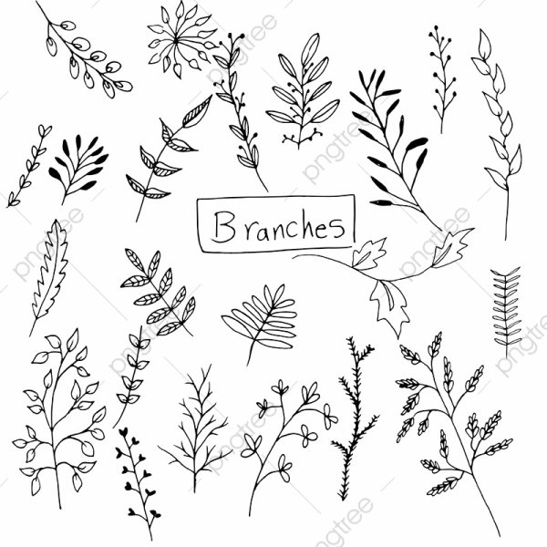 Веточки для ежедненикарисунок