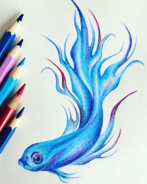 Скетчи синим маркером