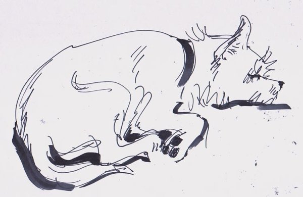 Наброски людей и животных