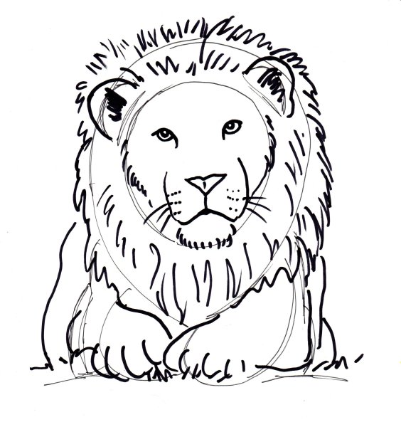 ЗЗ Лев рисунок