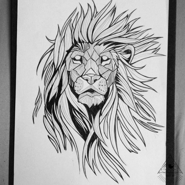 Рисунок Льва карандашом для срисовки