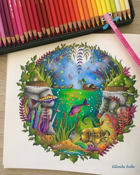 Johanna Basford Enchanted Forest