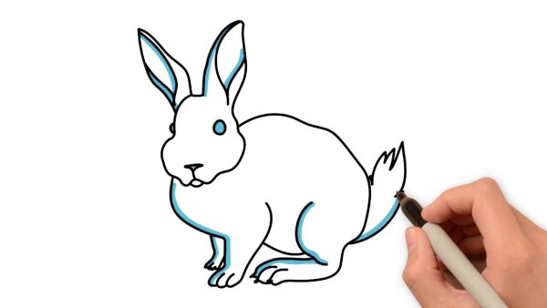 Кролик фломастером