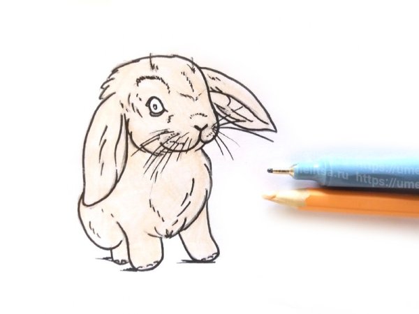 Зайчик рисунок фломастером