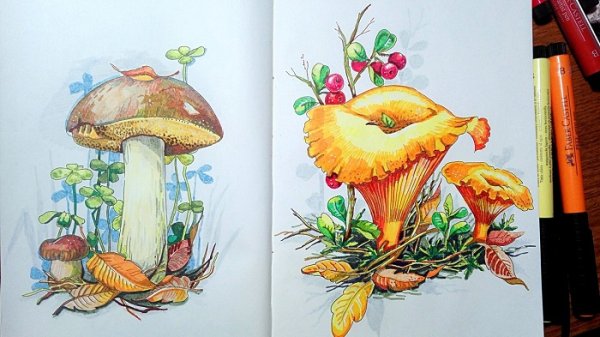 Лисички грибы скетч