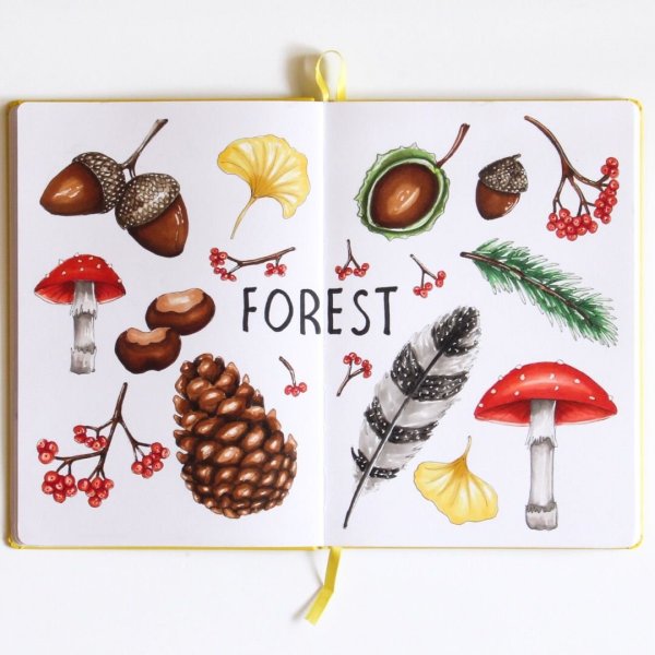 Рисунки для срисовки грибы