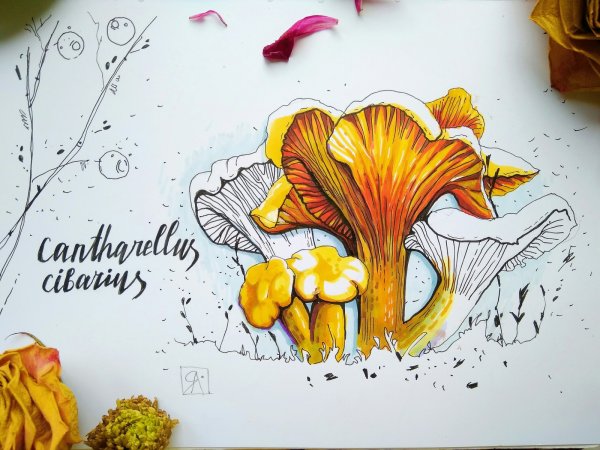 Мухомор скетч маркерами
