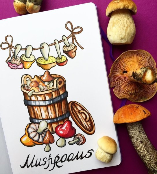 Грибы акварелью скетч