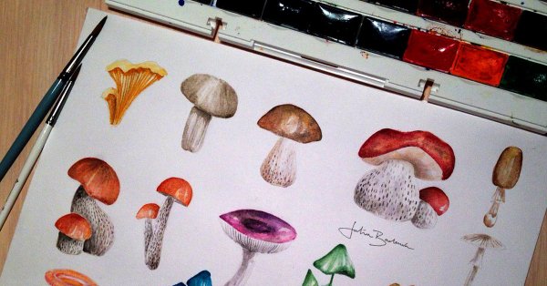 Грибы скетч маркерами