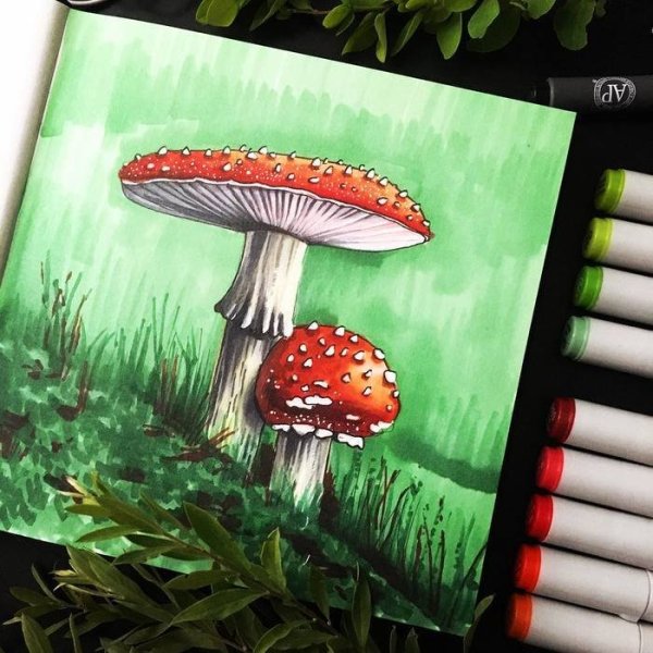 Мухомор скетч маркерами