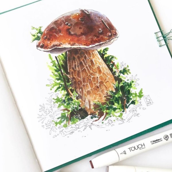 Рисунки маркерами грибы