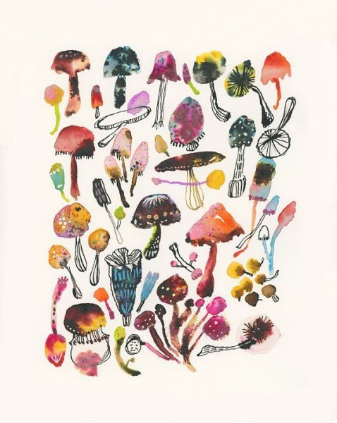 Грибы из пинтереста инди КИД