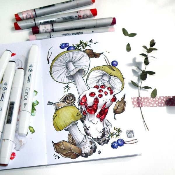 Грибы декоративная стилизация