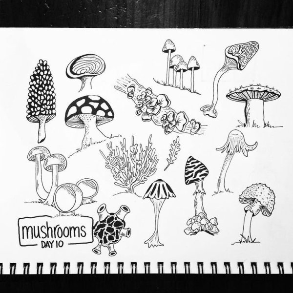 Гриб рисунок