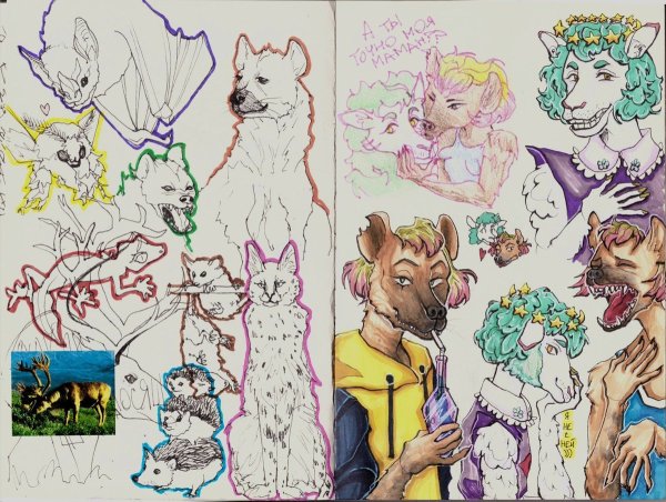 Рисунки фурри в скетчбуке