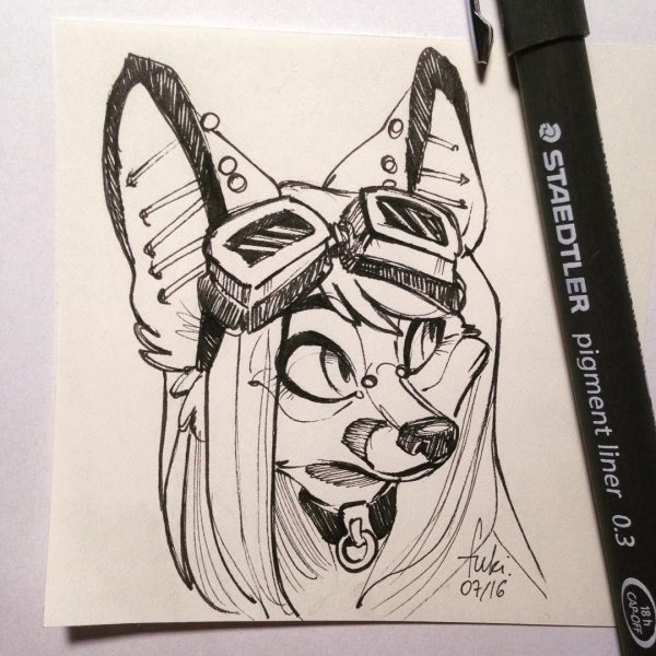 Рисовать фурри фломастерами